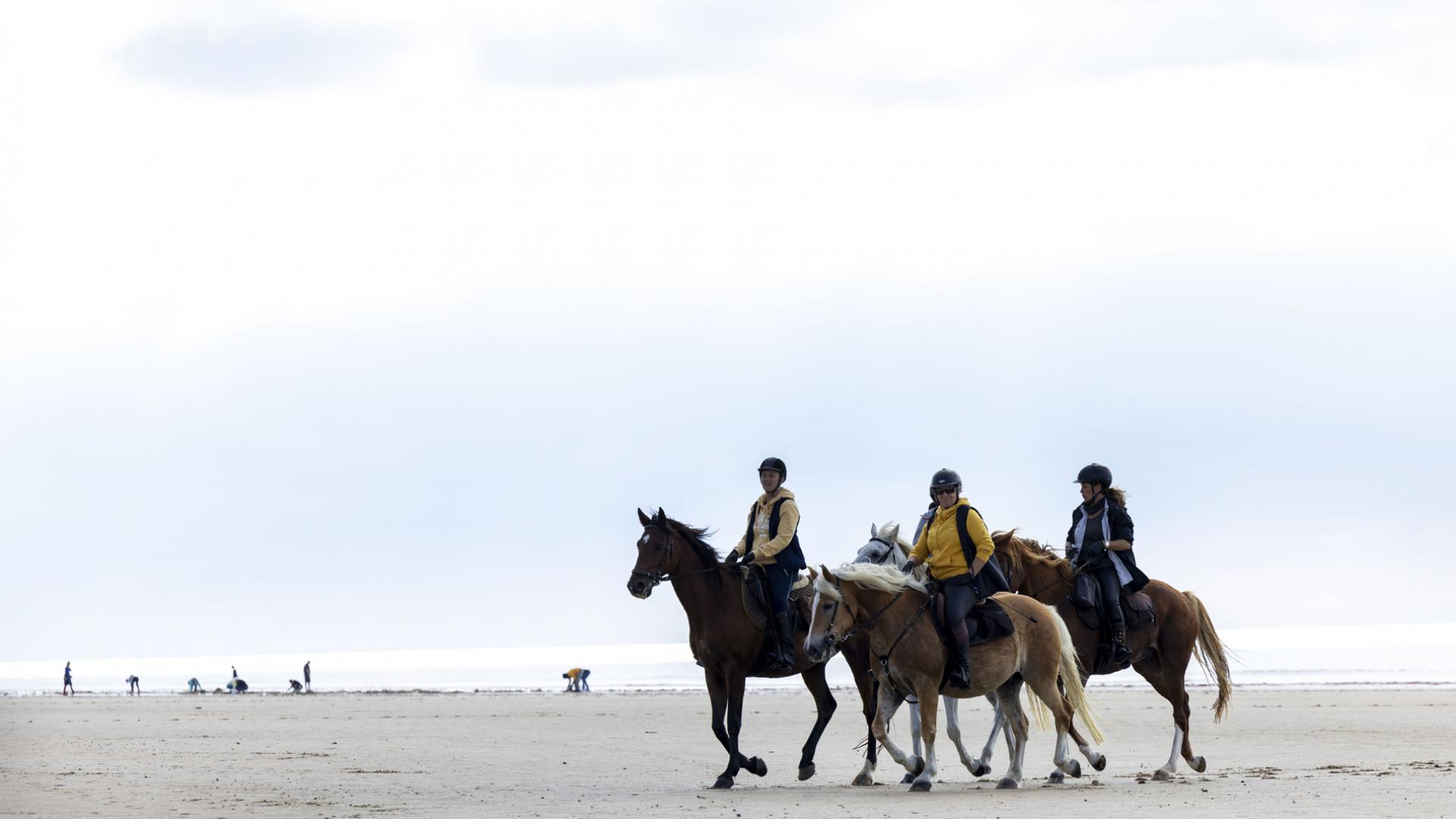 GOLF AND EQUESTRIAN <br>ACTIVITIES
