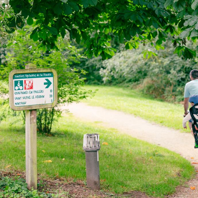 HIKING AND BIKING