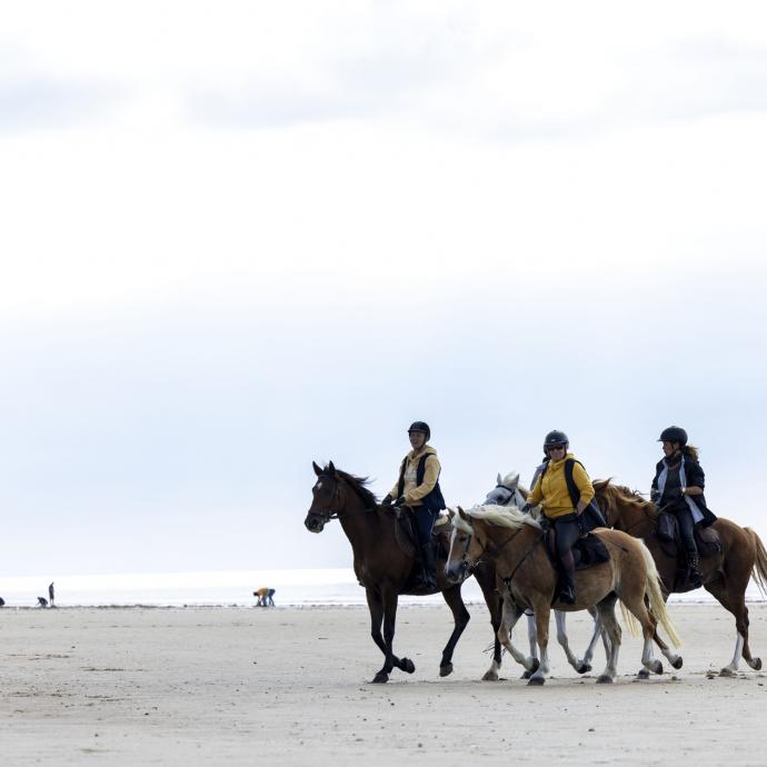 GOLF AND EQUESTRIAN <br>ACTIVITIES